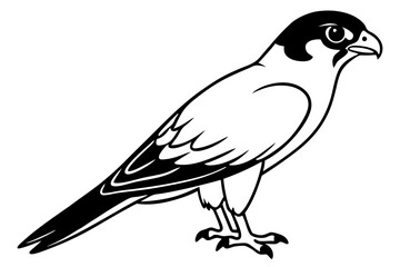 falcon silhouette line art vector illustration with a white background