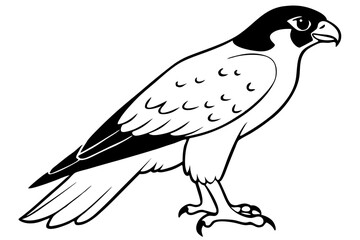 Fototapeta premium falcon silhouette line art vector illustration with a white background