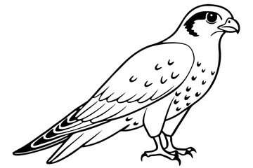 falcon silhouette line art vector illustration with a white background