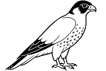 falcon silhouette line art vector illustration with a white background