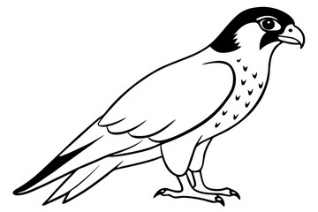 falcon silhouette line art vector illustration with a white background