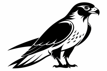 falcon silhouette line art vector illustration with a white background