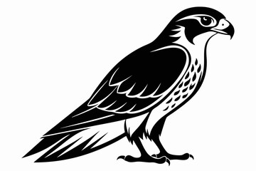 falcon silhouette line art vector illustration with a white background