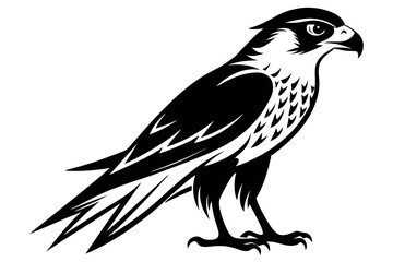 falcon silhouette line art vector illustration with a white background