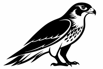 falcon silhouette line art vector illustration with a white background
