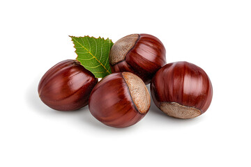 Obraz premium Heap of chestnuts isolated on white backdrop