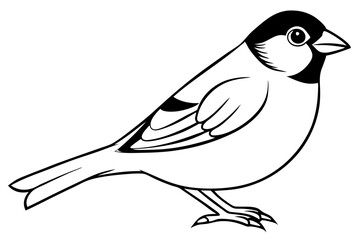 finch bird silhouette line art vector illustration with a white background