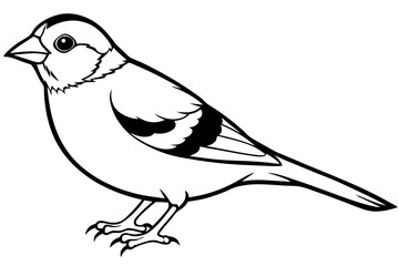 finch bird silhouette line art vector illustration with a white background