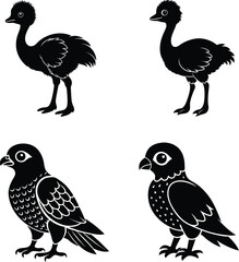 A set of cute baby Emu and Falcon silhouette illustration