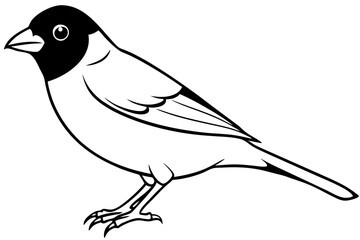 finch bird silhouette line art vector illustration with a white background