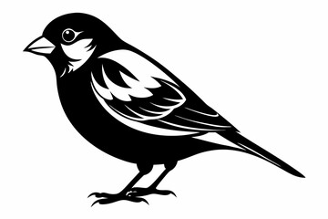finch bird silhouette line art vector illustration with a white background