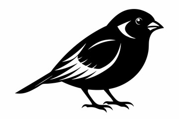 finch bird silhouette line art vector illustration with a white background