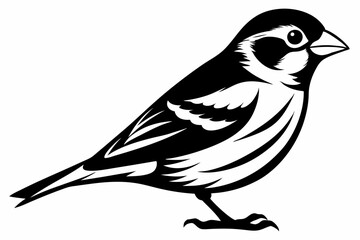 finch bird silhouette line art vector illustration with a white background