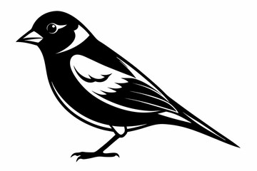 finch bird silhouette line art vector illustration with a white background