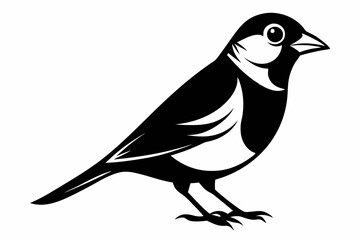finch bird silhouette line art vector illustration with a white background