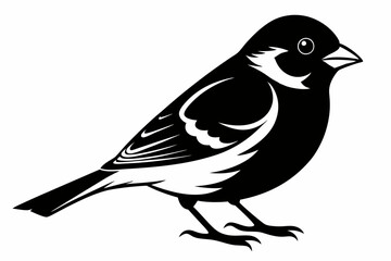 finch bird silhouette line art vector illustration with a white background