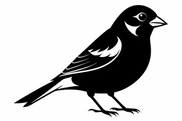 finch bird silhouette line art vector illustration with a white background