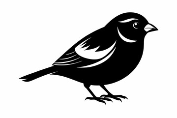 finch bird silhouette line art vector illustration with a white background