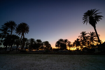 Fototapeta premium Sunrise on a tropical island, sea beach, palm trees, peaceful sunrise, morning on a paradise beach, summer vacation, holiday.