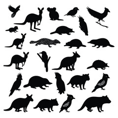 Fototapeta premium A collection of black silhouette illustrations of various Australian animals
