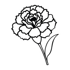 vector illustration of a rose