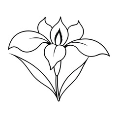 vactor illustration of a Iris flower