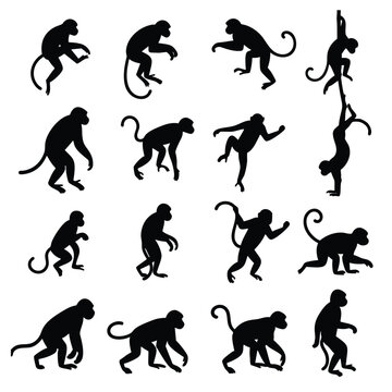 A set of black silhouettes depicting various monkey poses and actions