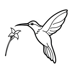 Humming bird vactor illustration