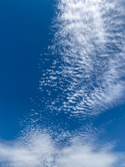 few white cloud on blue sky. Nature as background