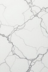 Obraz premium Intricate white veining on polished Carrara marble , glossy, elegant design