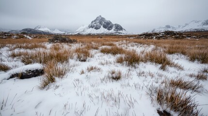 Snowy Scottish Highlands landscape, winter peak