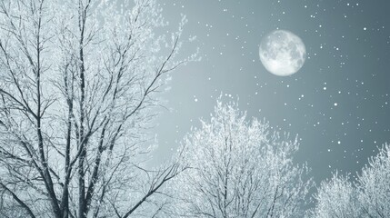 Enchanted Winter Trees Under a Full Moon