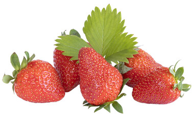 Fraises Gariguette	