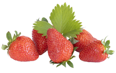Fraises Gariguette	