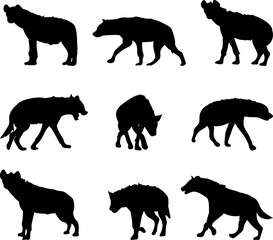 hyenas set silhouette on white background vector