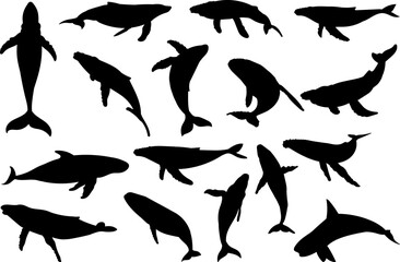 blue whale set silhouette on white background vector