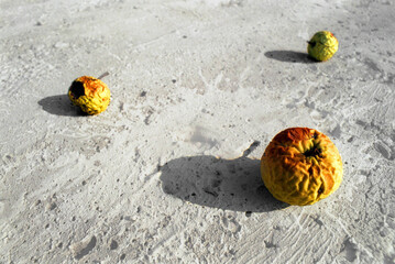 Old withered apples on a concrete slab