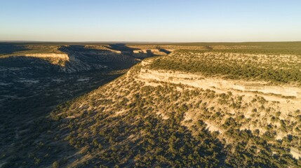 Awe-Inspiring Aerial View of a Canyon's Majestic Terrain, Capturing the Essence of the Dry Desert Landscape.