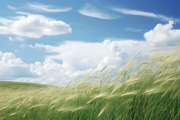 Blowing in the Wind. Scenic Landscape of a Windy Day with Grass, Clouds, and Blue Sky in the Background