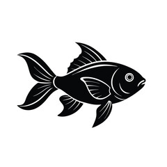 fish on a white background