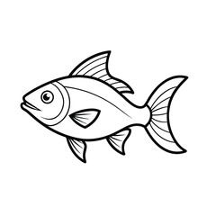 fish on a white background