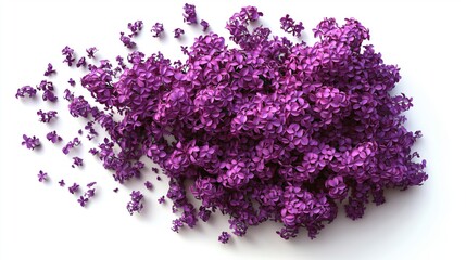 Obraz premium Beautiful lilac blossoms on a light background. Realistic lilac flower. Floral top view. Bouquet of purple, violet flowers.
