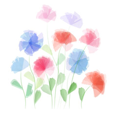 Watercolor transparent flowers isolated on a white background. Delicate petals of cornflowers, poppies and meadow cornflowers with leaves. Botanical  drawing. Aquarelle painting of a wild flower.