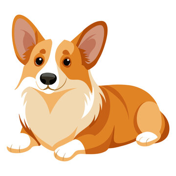 recommend clip art: corgi dog dog isolated on white, Color vector illustration. Pet animal  