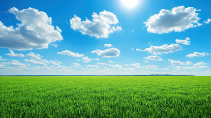 Obraz premium A vibrant green field under a clear blue sky with fluffy clouds and bright sunlight.