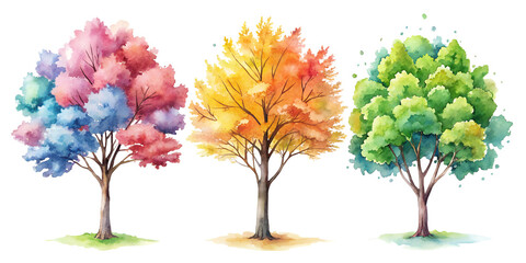 Fototapeta premium autumn tree with colorful leaves