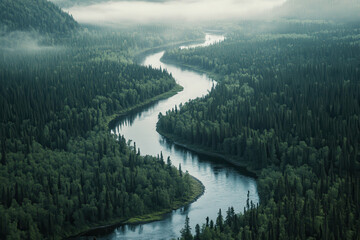 Aerial view of a winding river surrounded by lush green forests and misty mountains.
