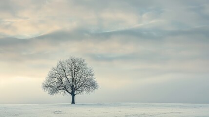 Serene Winter Landscape with Solitary Tree in Snow-Covered Field for Nature Posters