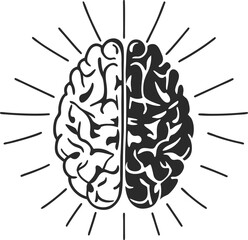 Human brain vector hand drawn. Vector anatomy illustration of the human brain. Brain vector art with white background.