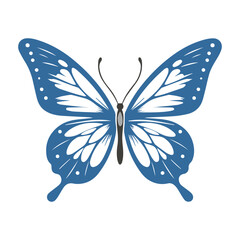 blue butterfly isolated on white